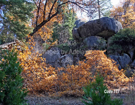 Fall Colors and Erratic Boulders